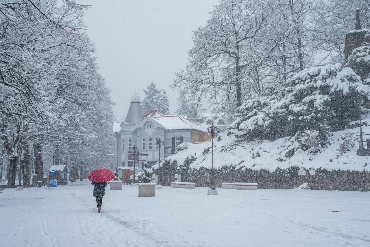 Vrnjačka Banja Vila Emilia المظهر الخارجي الصورة